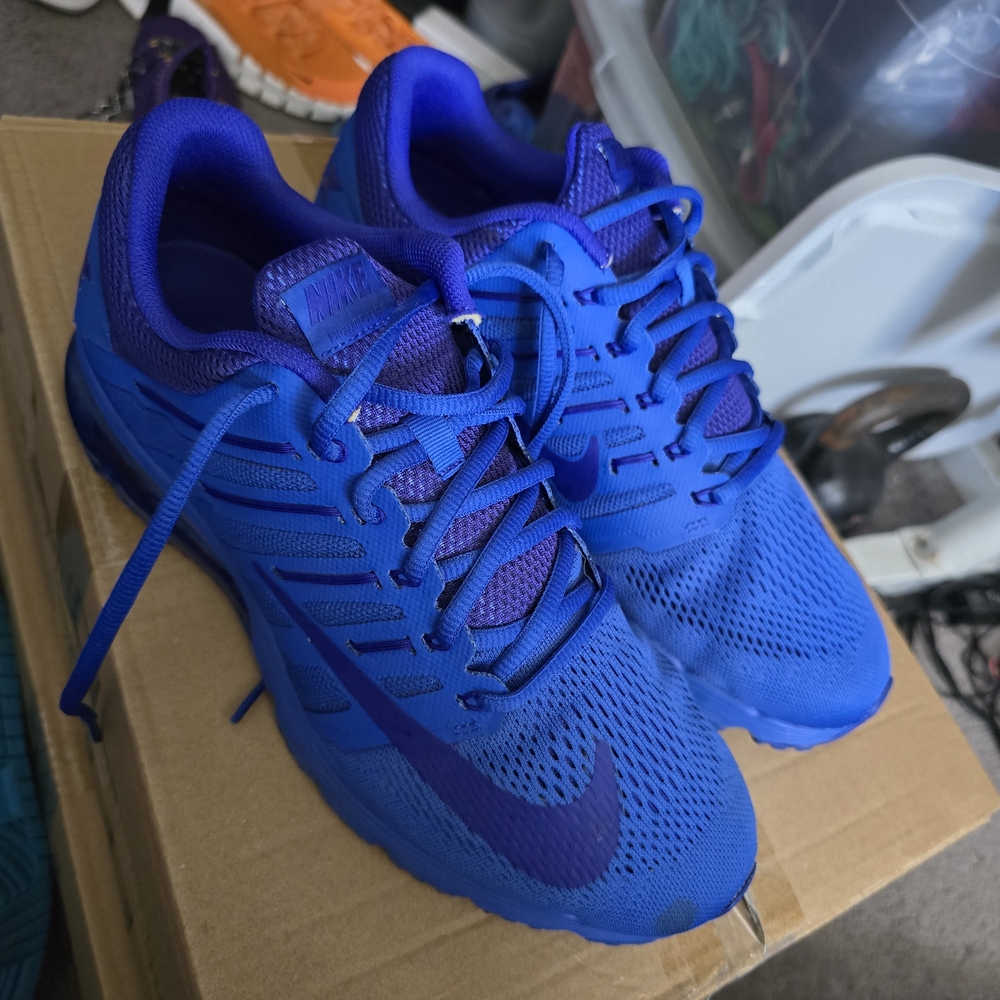Nike Royal Blue Running Shoes